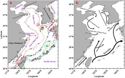 Trends of maximum annual sea surface temperature in the Eastern China Seas